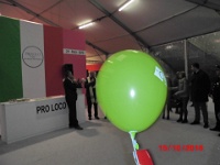 Apertura Expo (2)